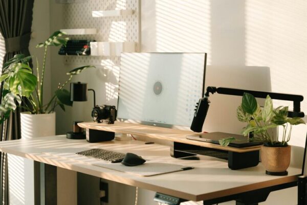 Tips for Creating a Cozy and Productive Home Office Environment